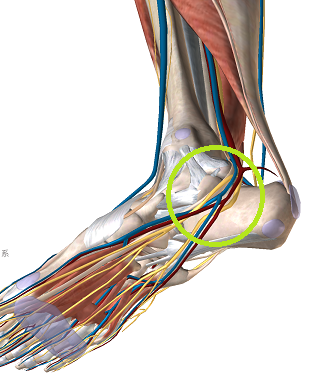 Screen_Shot_07-05-2018_12.33.52(1)