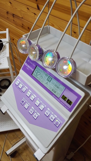 フィールドフローレメシス