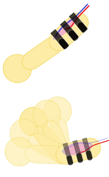 マルチカフならスピードトレーニングしても駆血した血流は漏れにくい