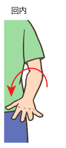 前腕の回内